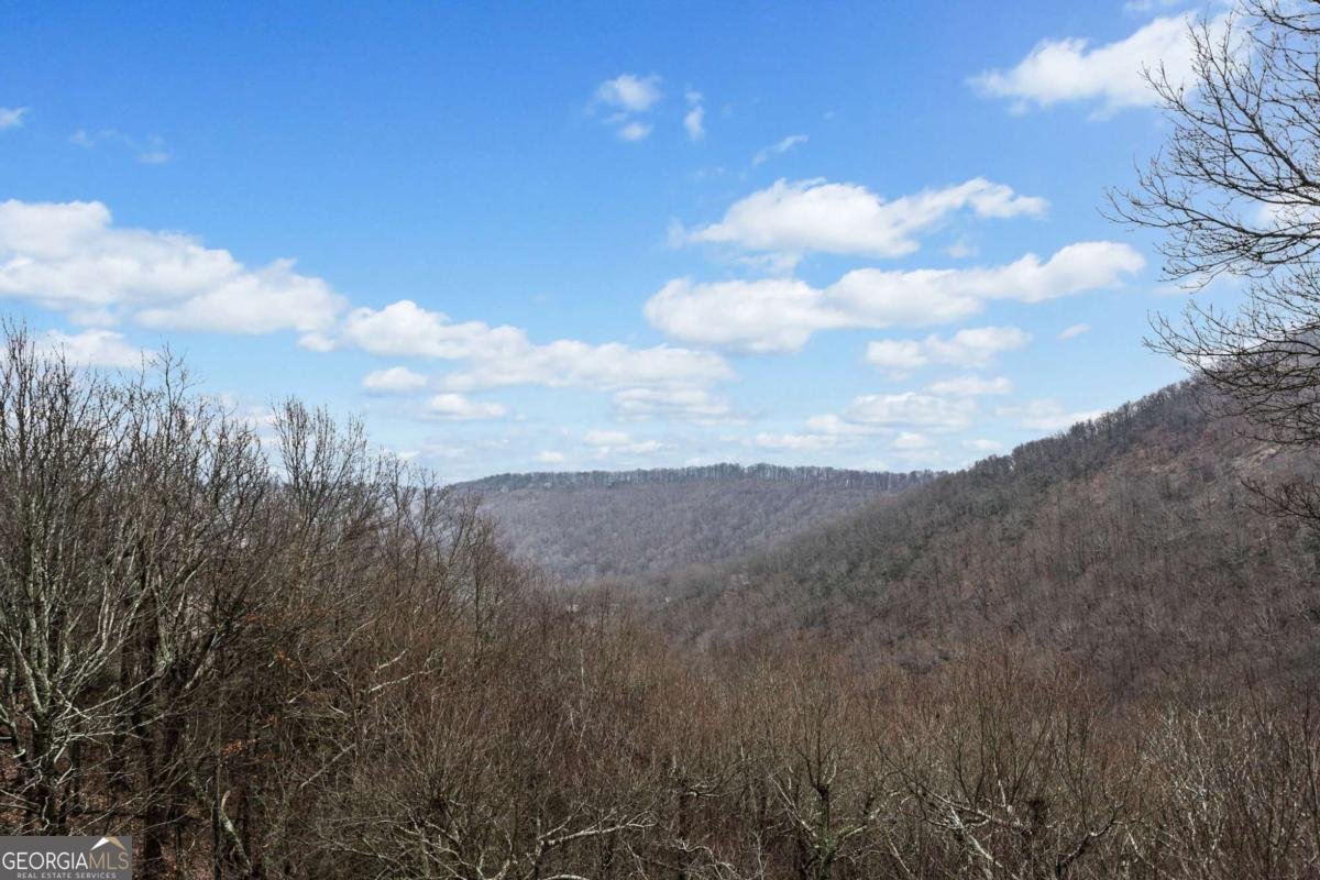 1043 Deer Run Ridge Jasper - 39