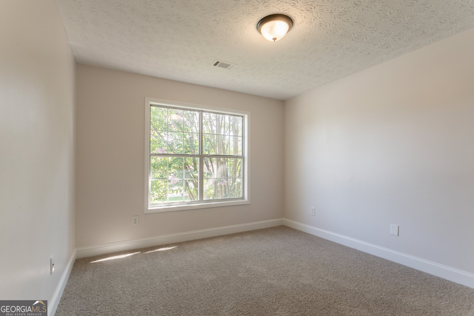 2346 Hampton Park Drive Buford - 21