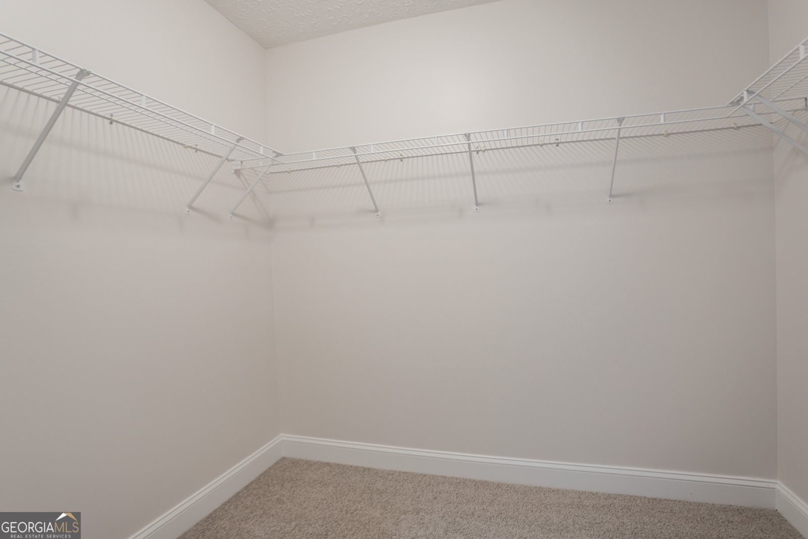 2346 Hampton Park Drive Buford - 28