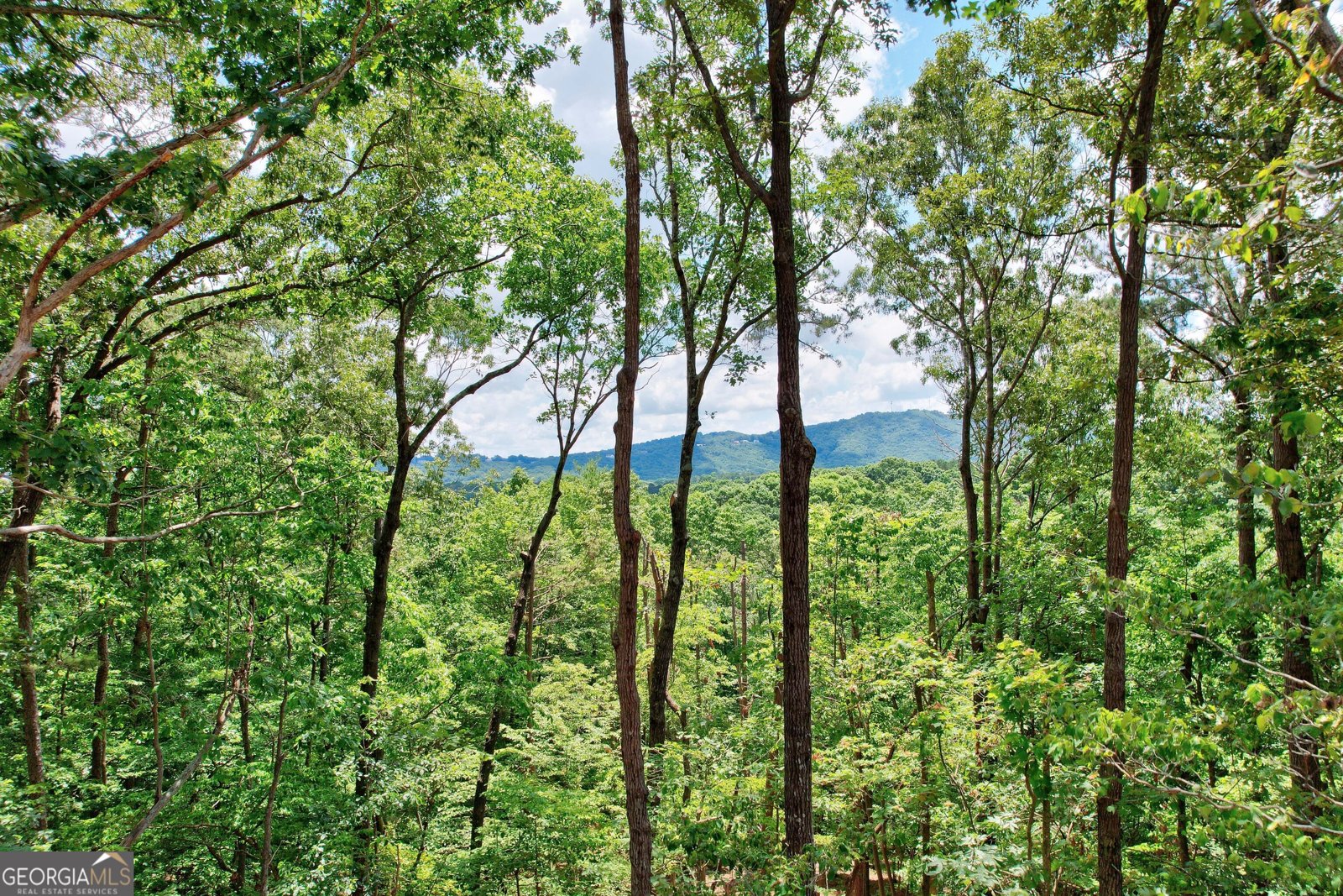 112 Morningside Court Ellijay - 11