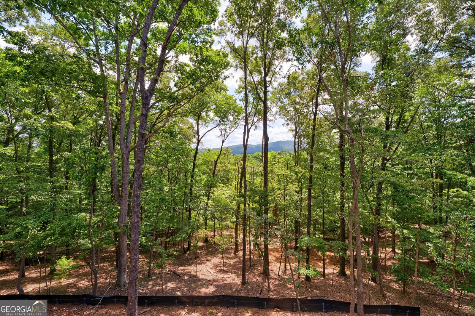 112 Morningside Court Ellijay - 9
