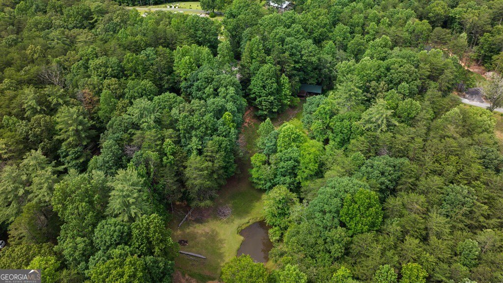 284 Tickanetley Road Ellijay - 16