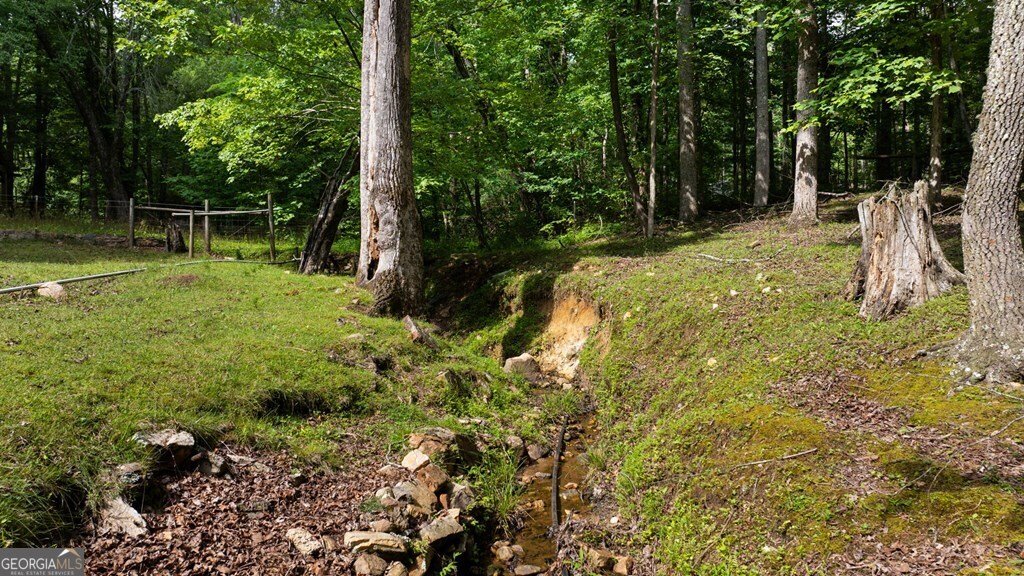 284 Tickanetley Road Ellijay - 17