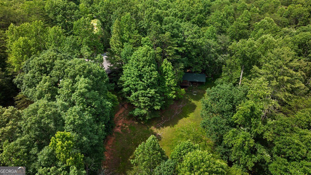 284 Tickanetley Road Ellijay - 18