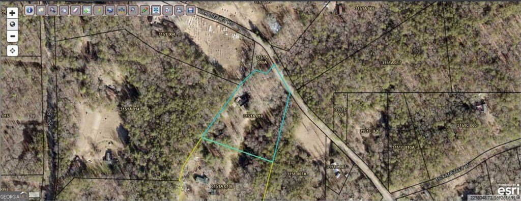 284 Tickanetley Road Ellijay - 22