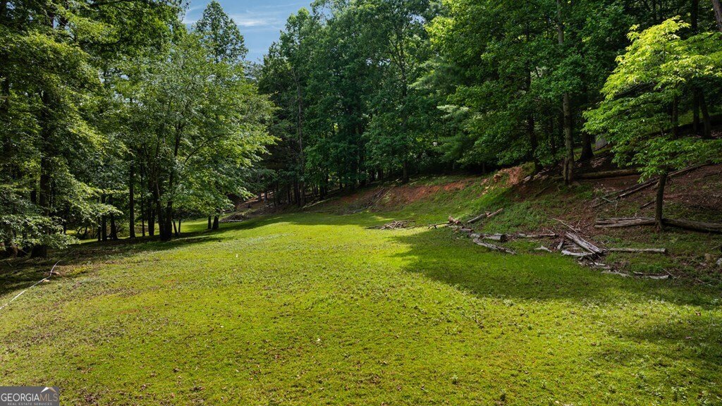 284 Tickanetley Road Ellijay - 26