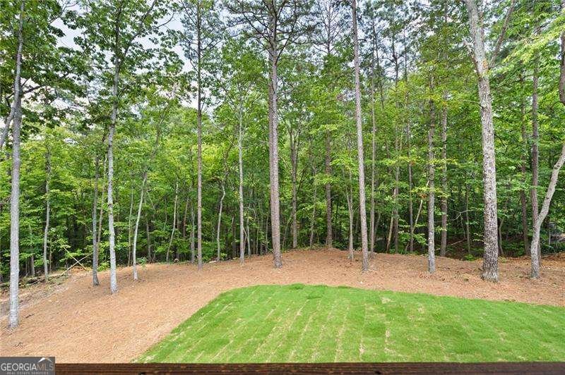 66 B PMB Young Road Cartersville - 28