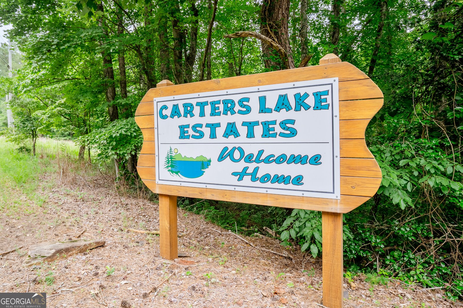 12 Scott Drive Ellijay - 2