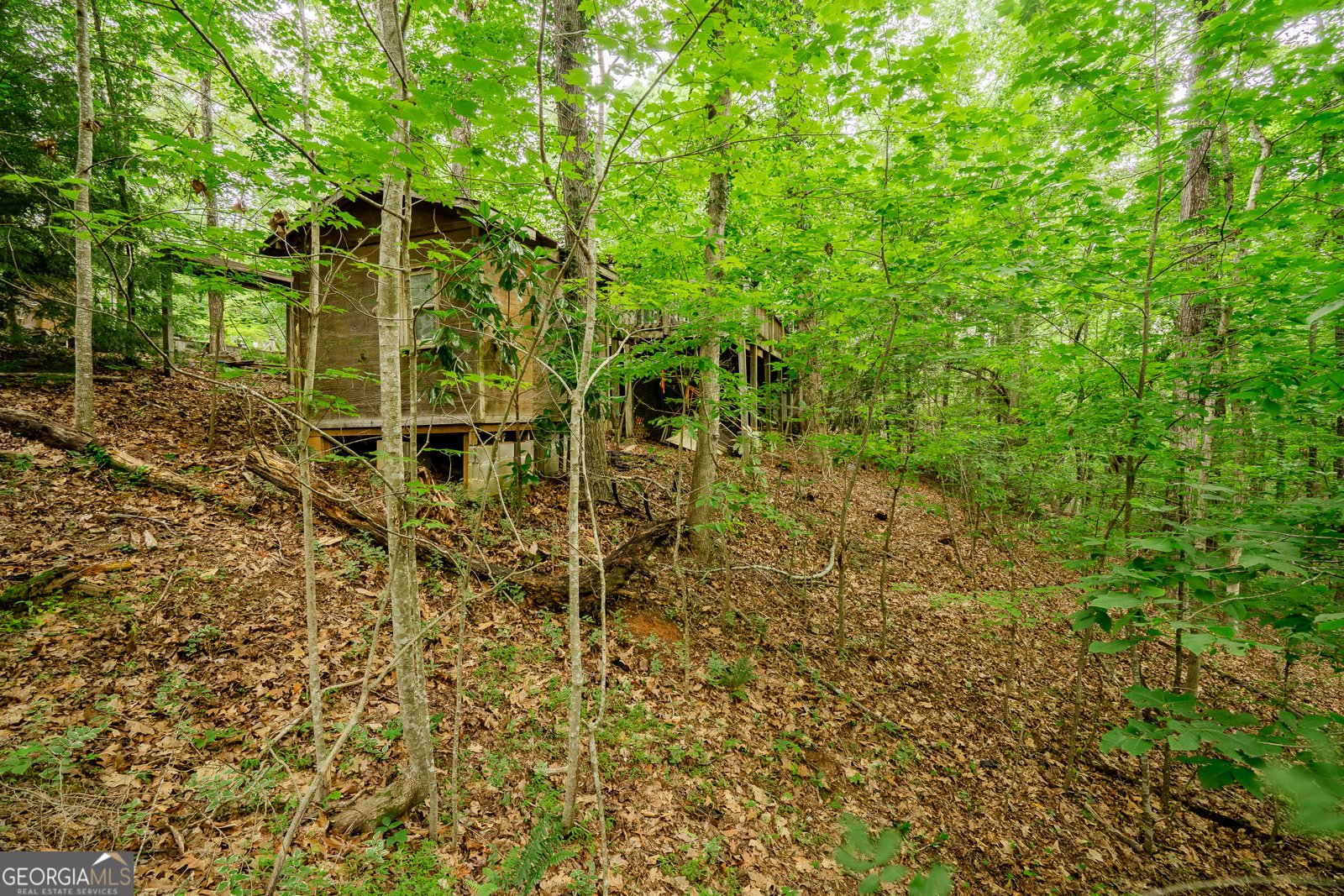 12 Scott Drive Ellijay - 36