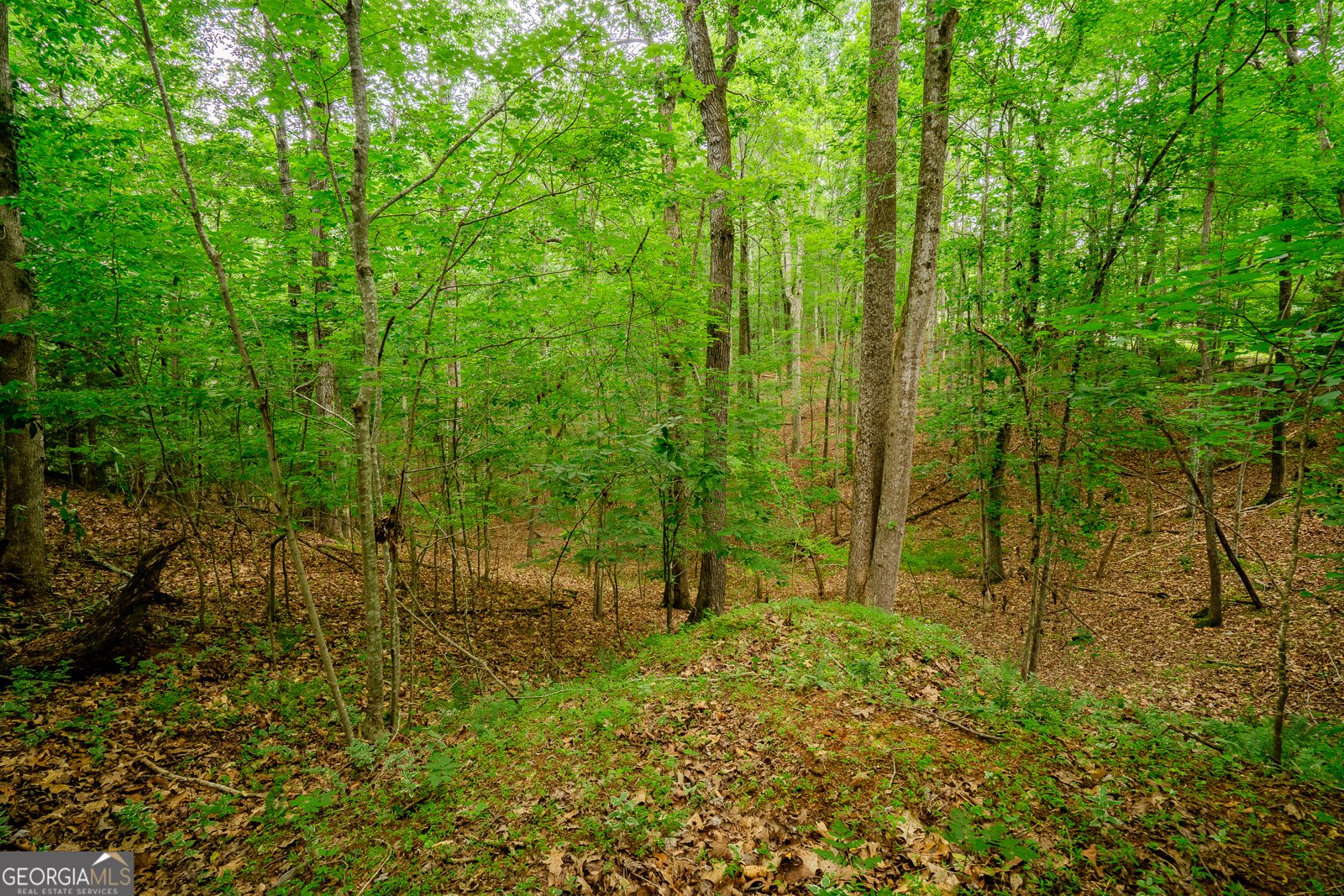 12 Scott Drive Ellijay - 37