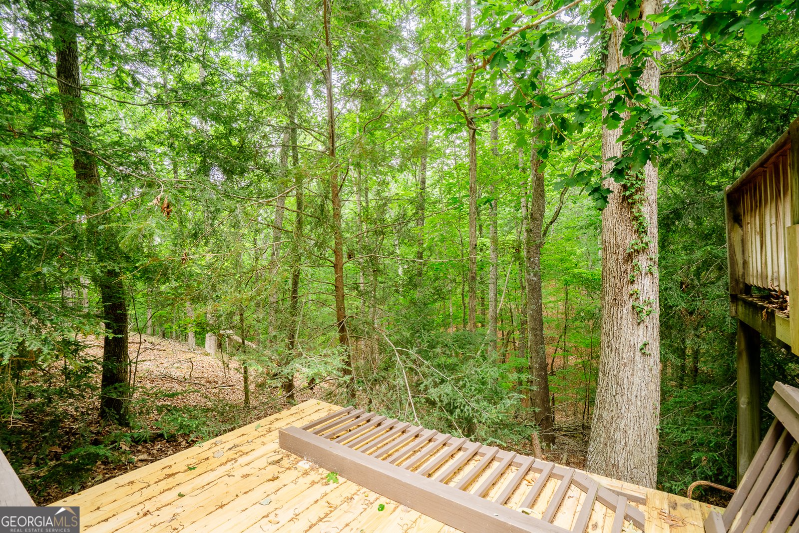 12 Scott Drive Ellijay - 39