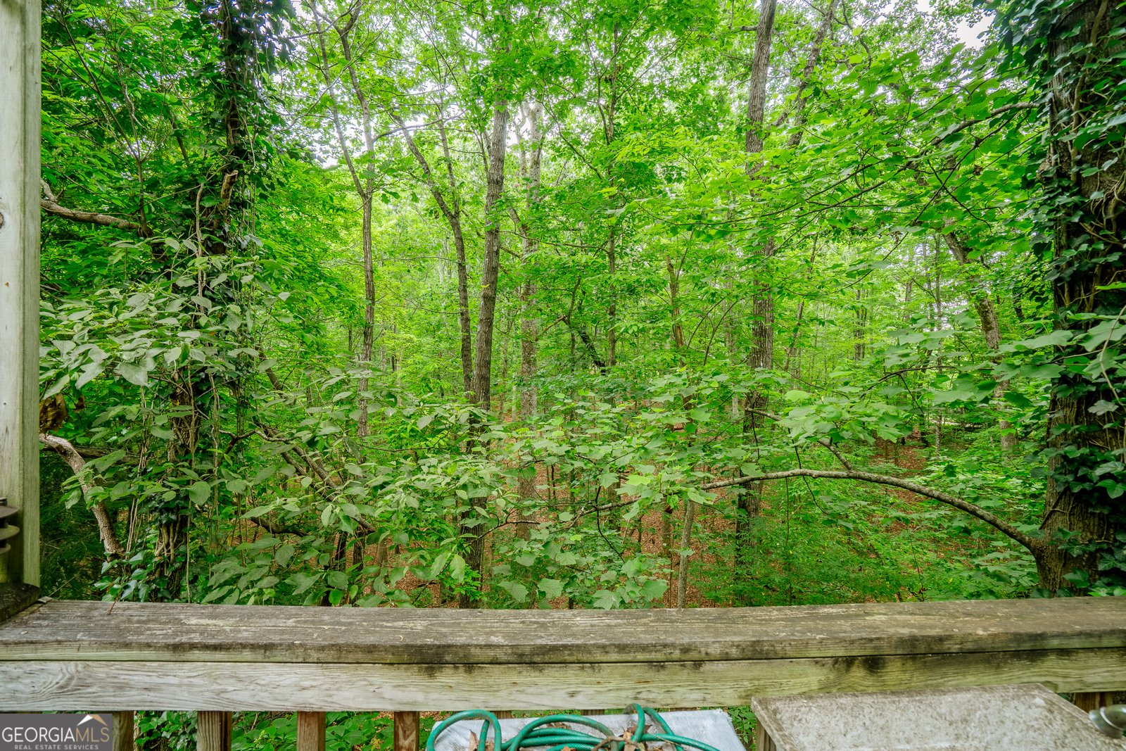 12 Scott Drive Ellijay - 41