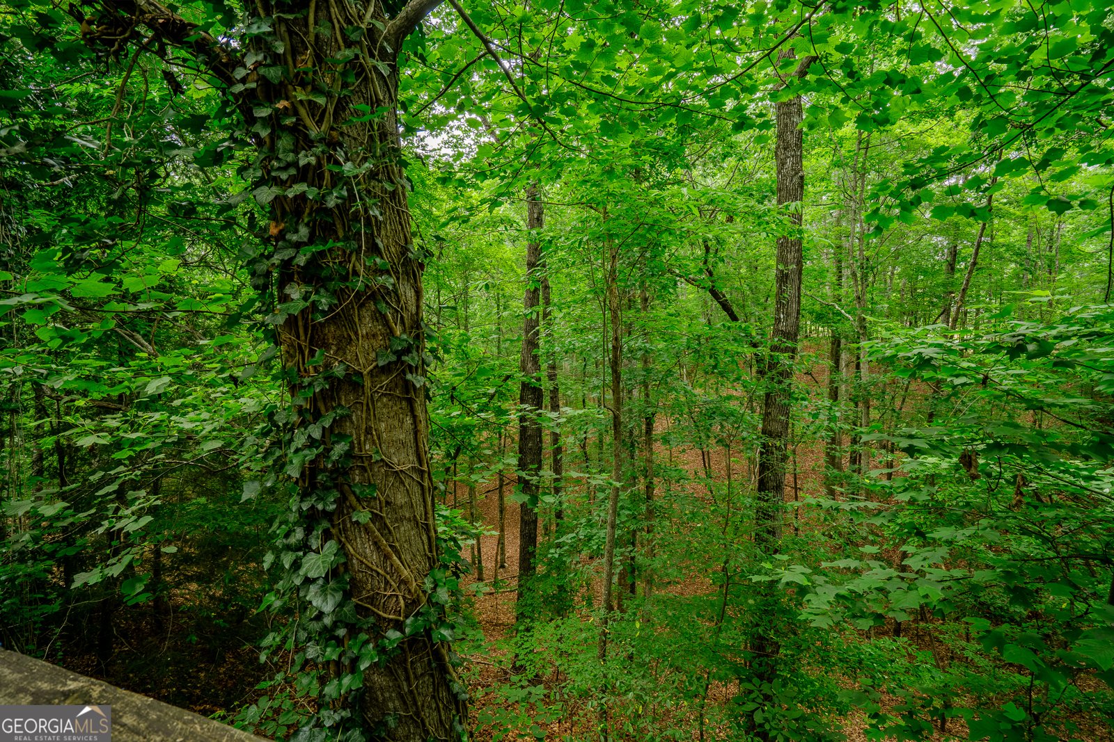 12 Scott Drive Ellijay - 42