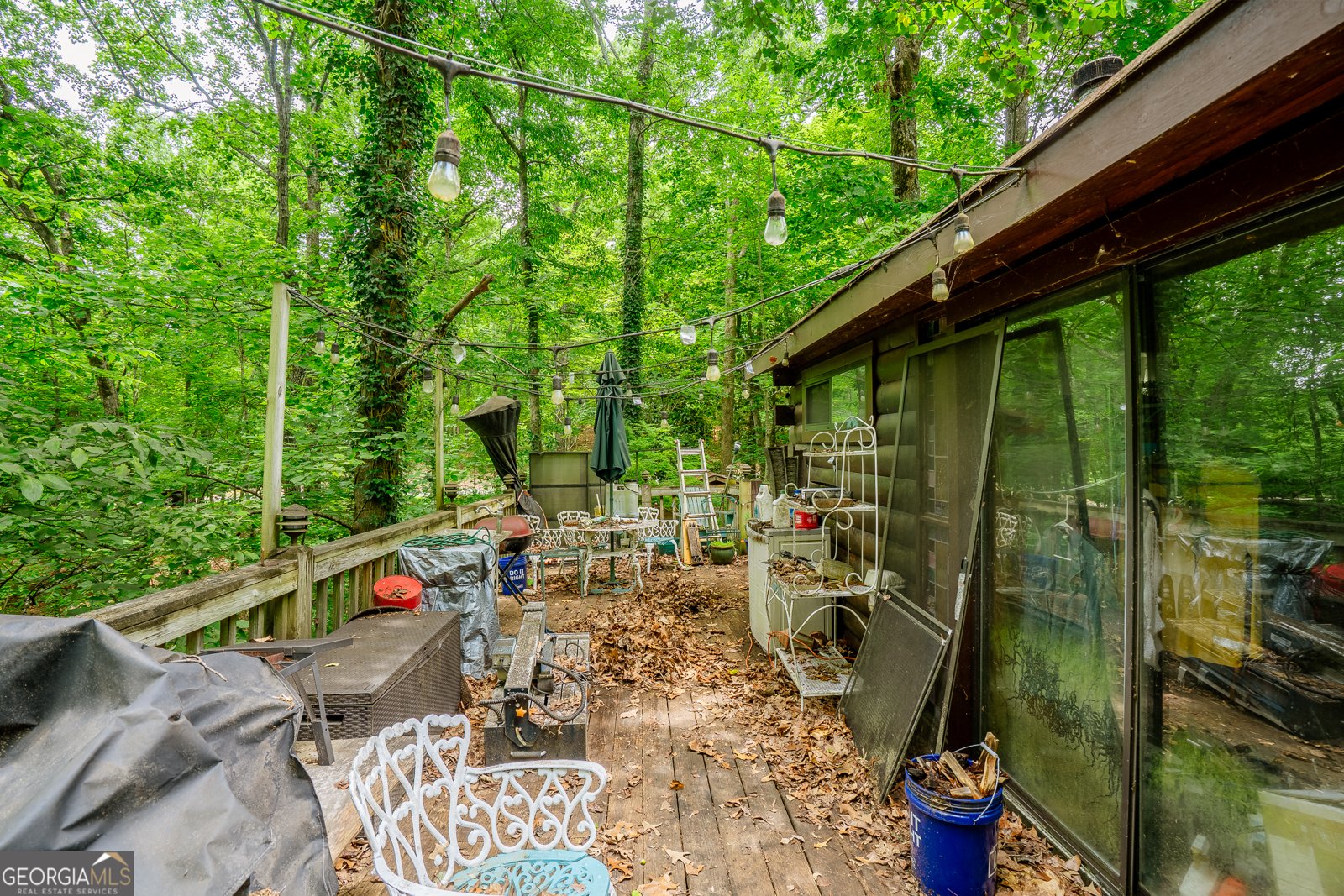 12 Scott Drive Ellijay - 45