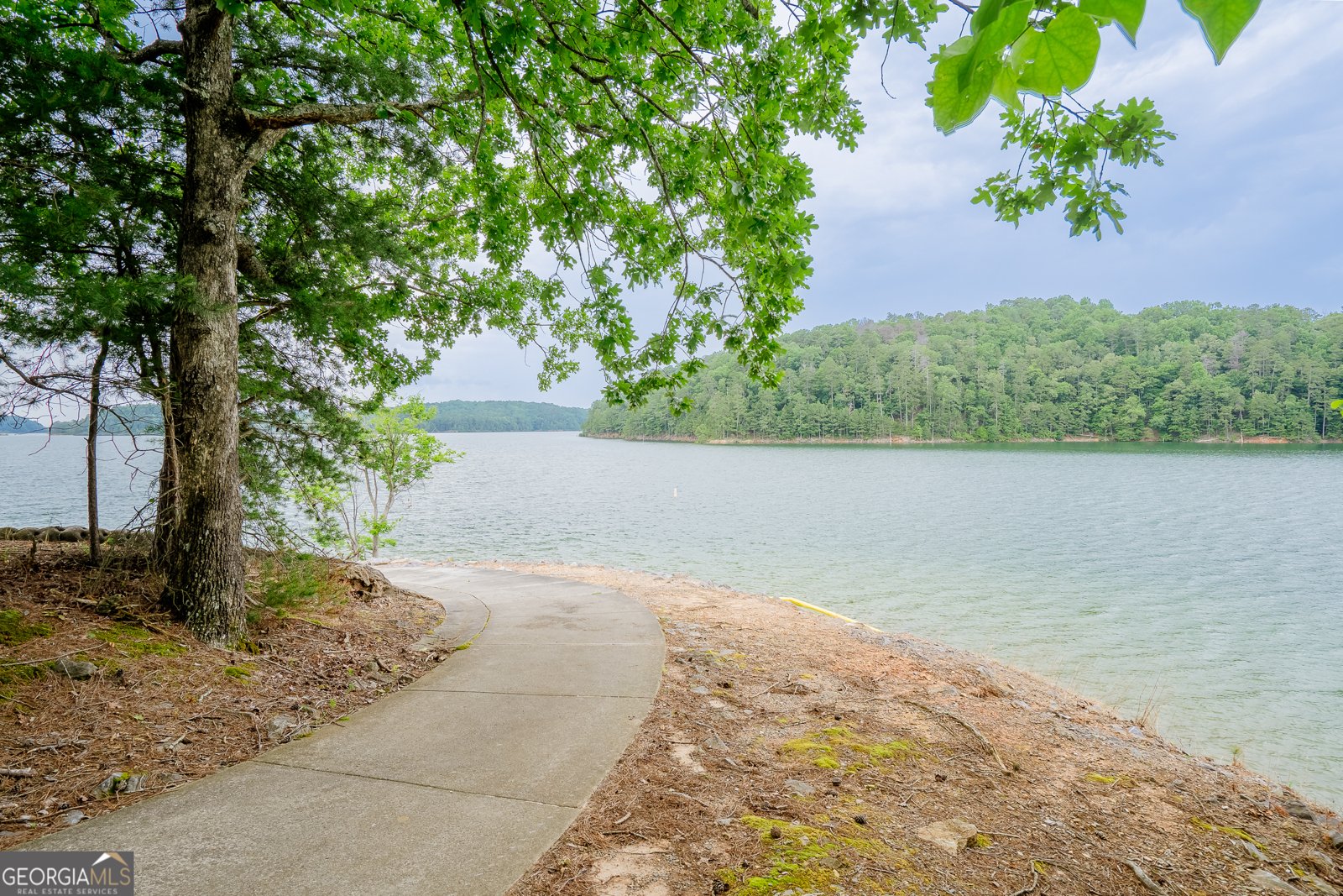 12 Scott Drive Ellijay - 5