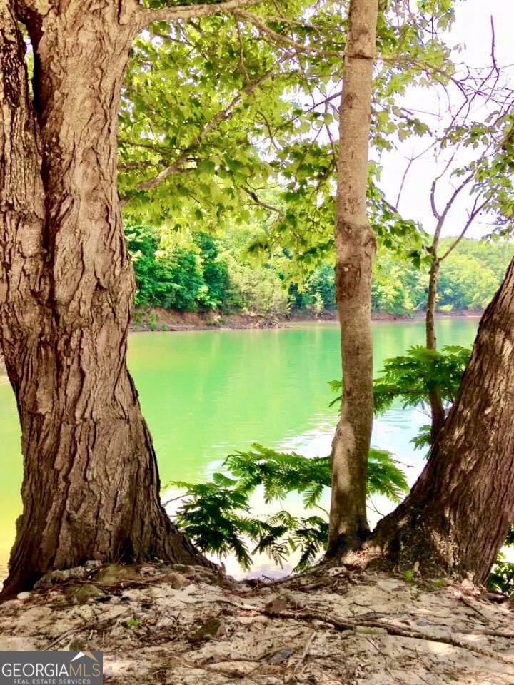 12 Scott Drive Ellijay - 62
