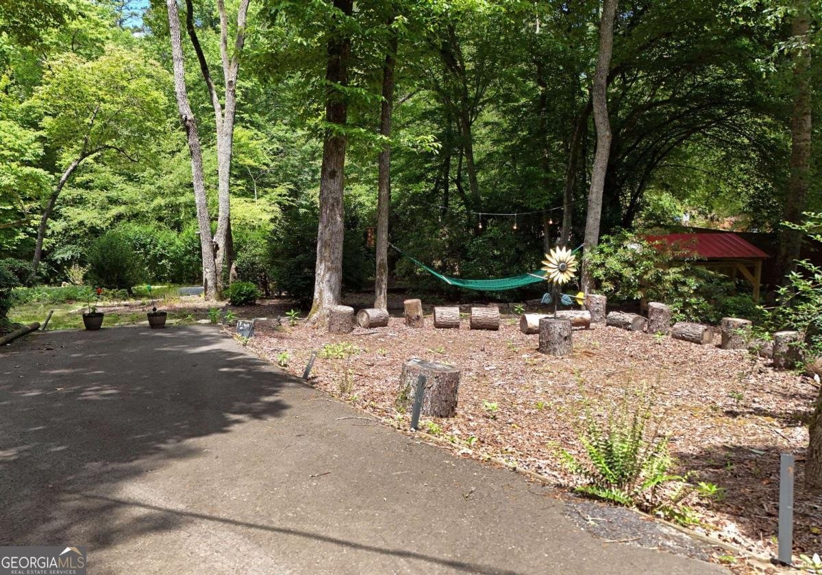 789 Old Pond Mill Road Mineral Bluff - 3