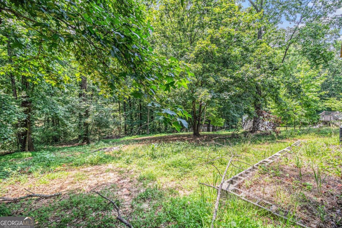 142 Tyler Lane Carrollton - 20