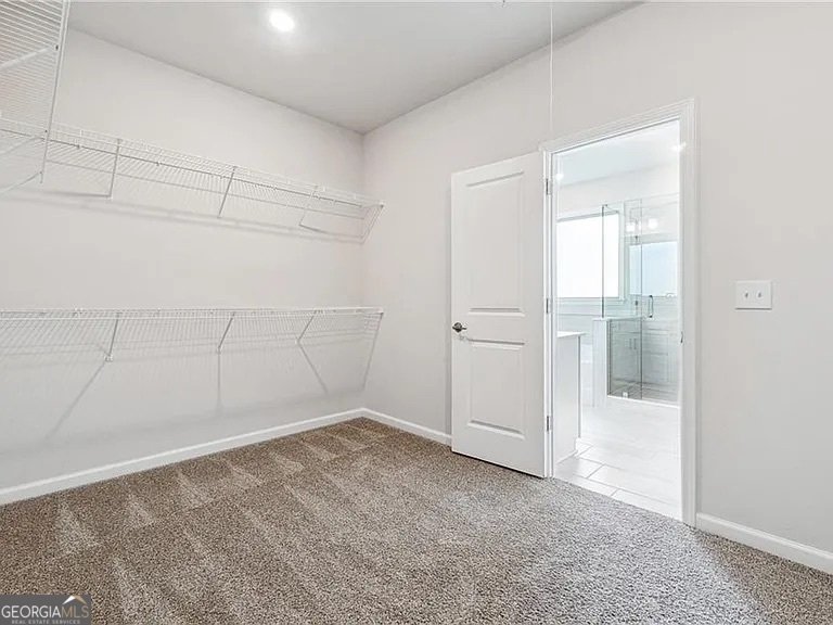 8415 Halford Way Ball Ground - 14