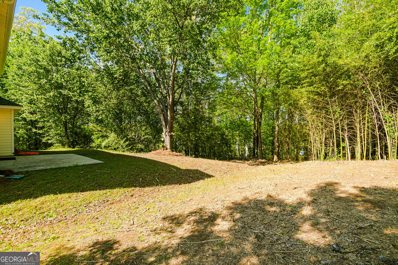 3554 CHERRY BLOOM Way Decatur - 3