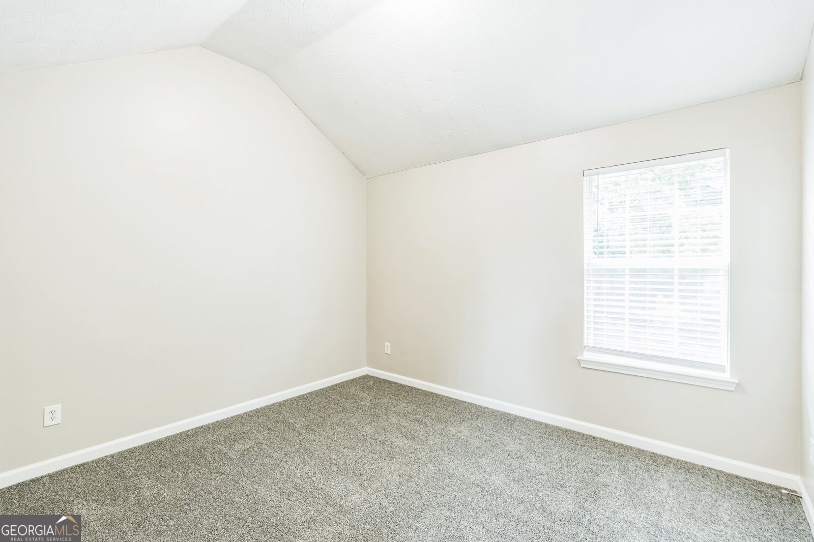 2655 Virginia Cove Riverdale - 6