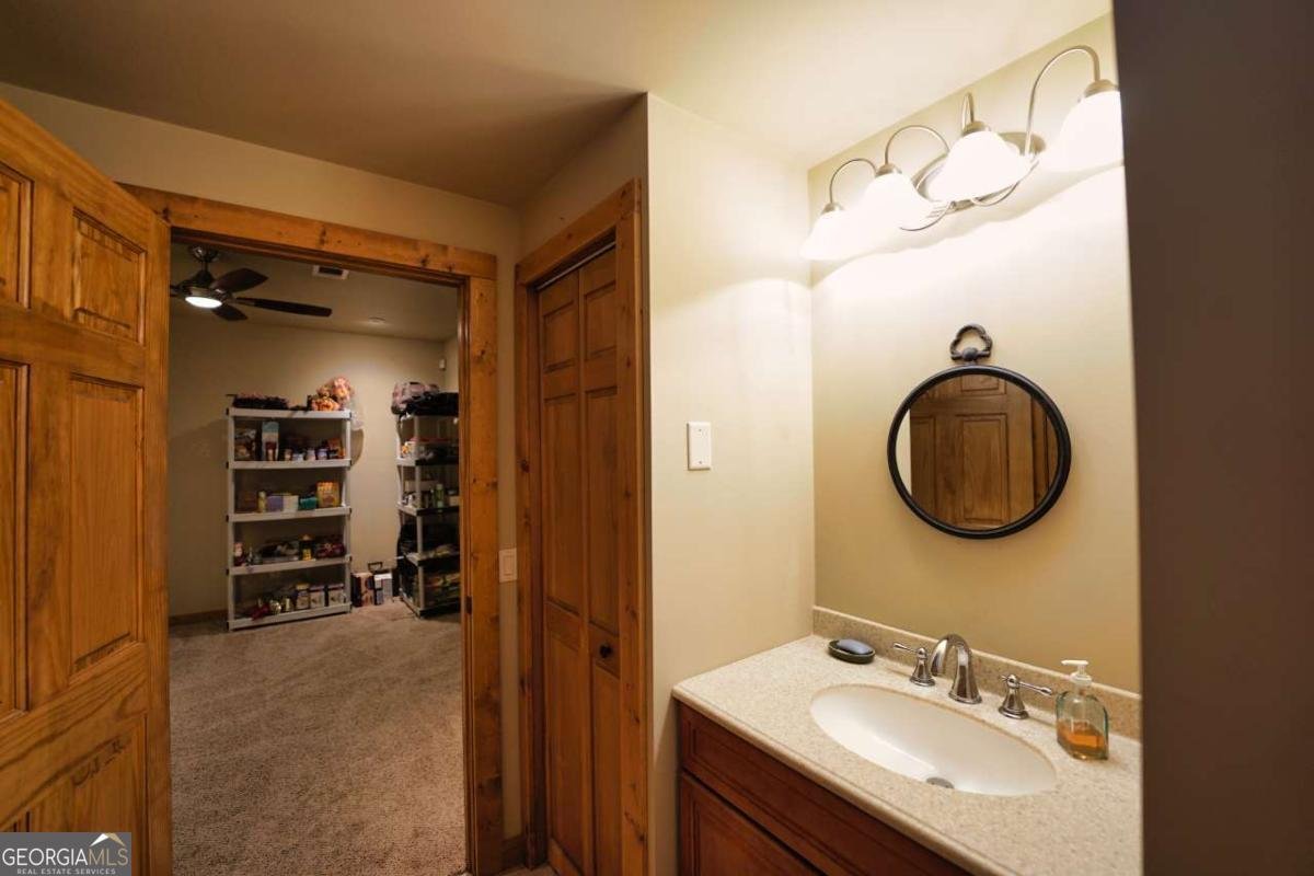 136 Elba Court Ellijay - 29