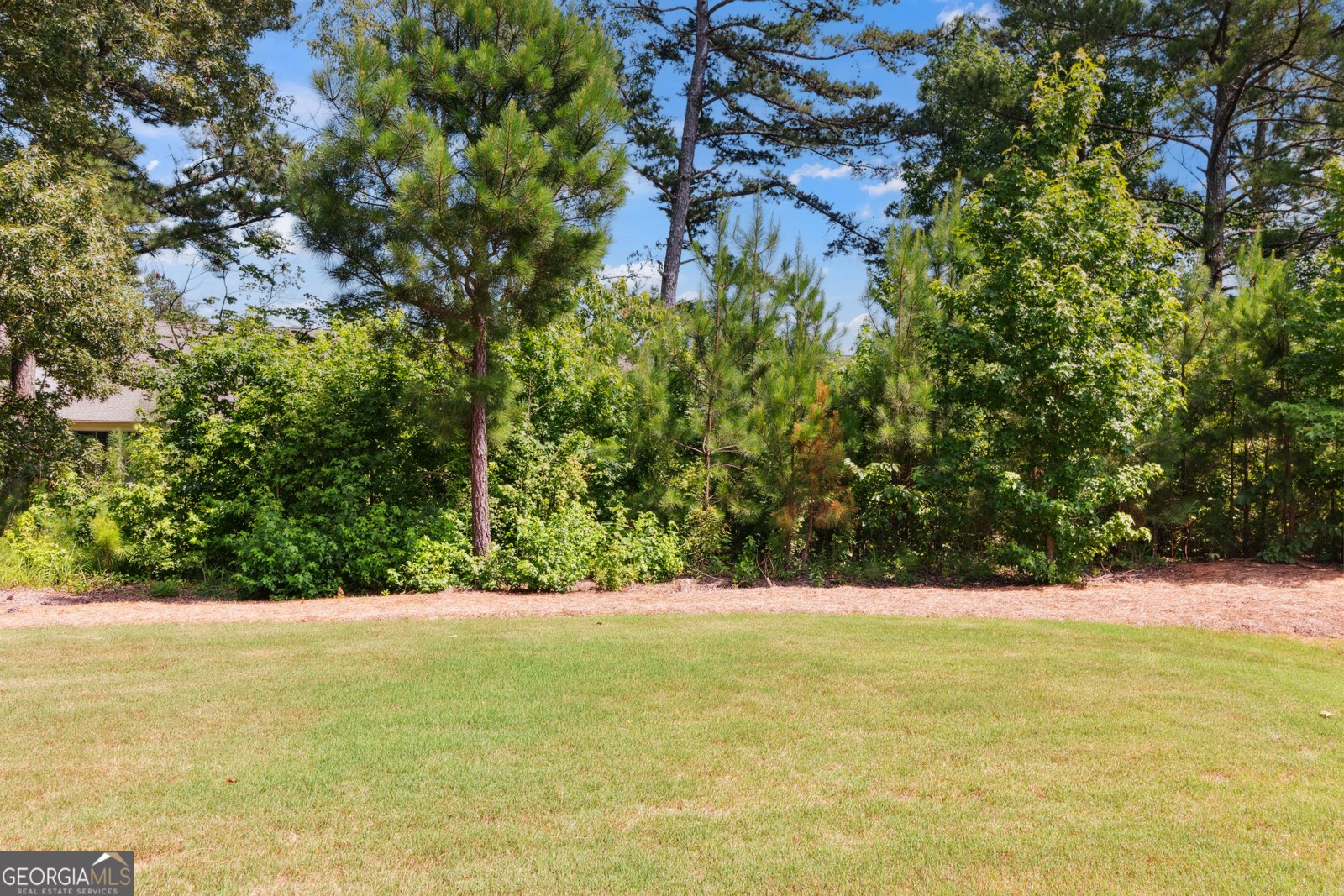 380 Falcon Way Hoschton - 31