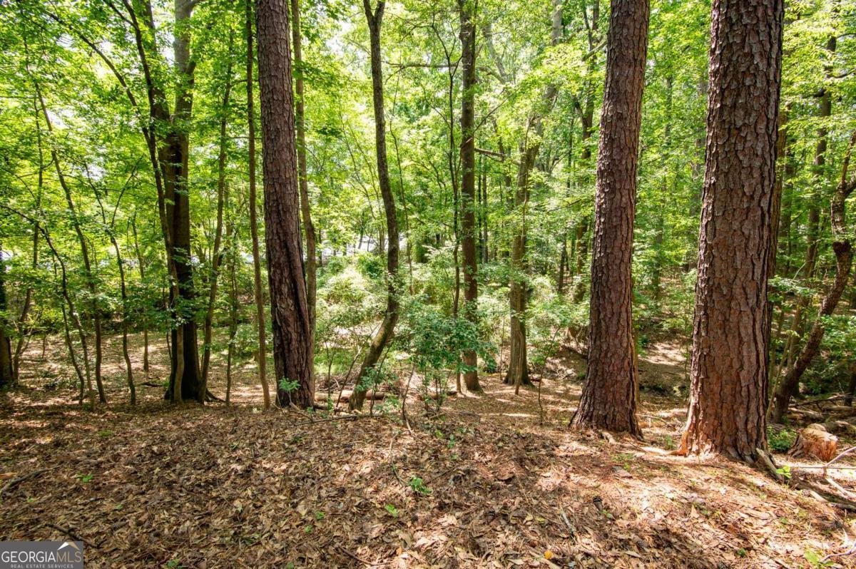 165 Spring Lake Drive Athens - 40