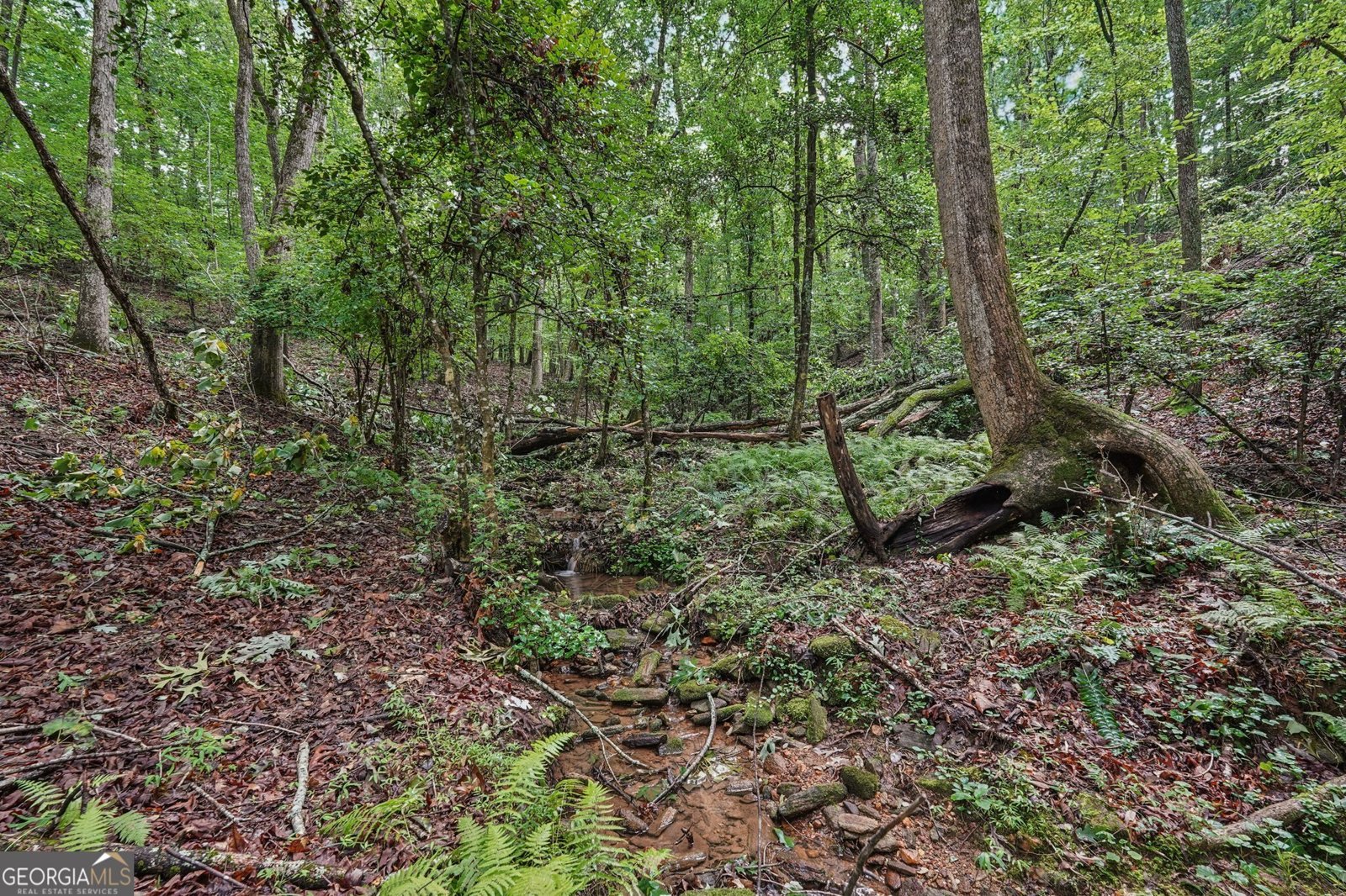 433 Elliots Lane Dahlonega - 14