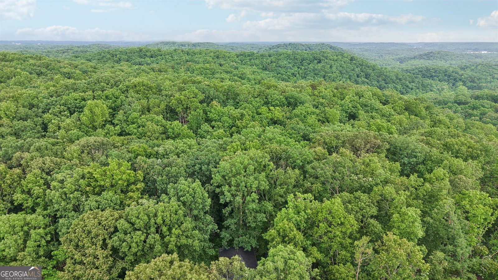433 Elliots Lane Dahlonega - 25