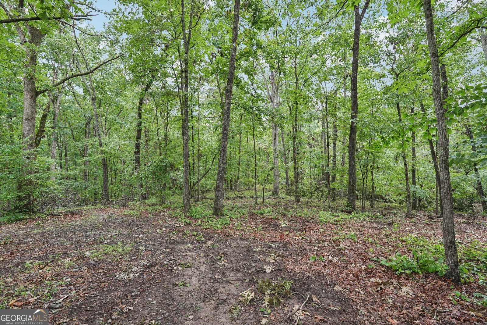 433 Elliots Lane Dahlonega - 43