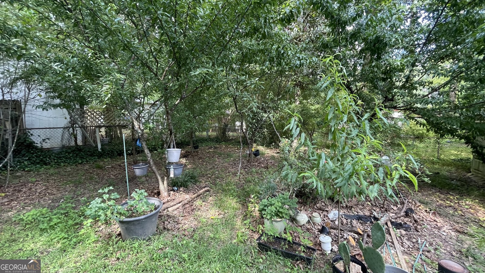 8436 Magnolia Drive Jonesboro - 35