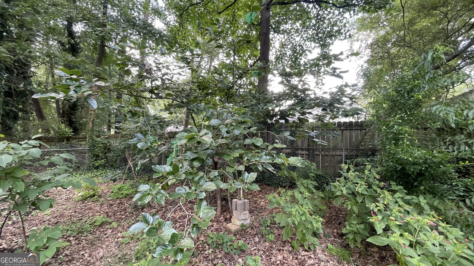 8436 Magnolia Drive Jonesboro - 37