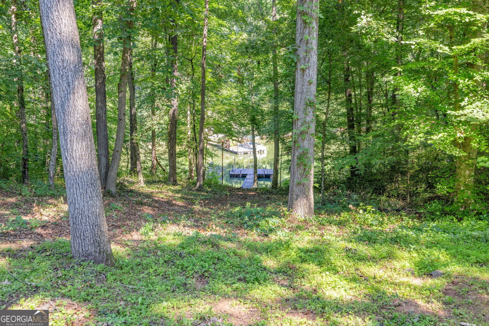 220 Gumlog Drive Lavonia - 21