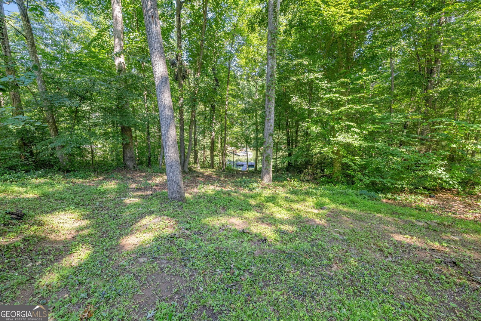 220 Gumlog Drive Lavonia - 23