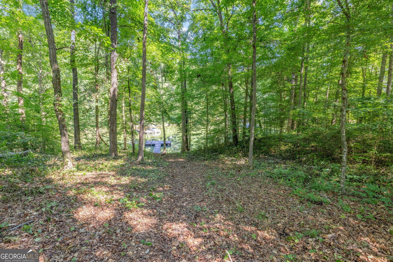 220 Gumlog Drive Lavonia - 24