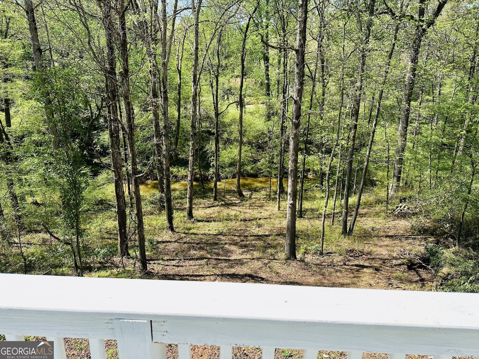 2481 Weatherstone Circle Conyers - 1