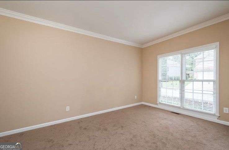 3008 3008 Stockbridge Way Dacula - 14