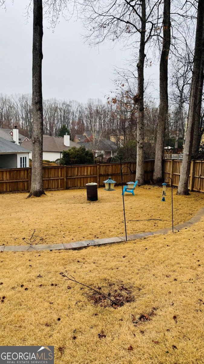 3008 3008 Stockbridge Way Dacula - 36