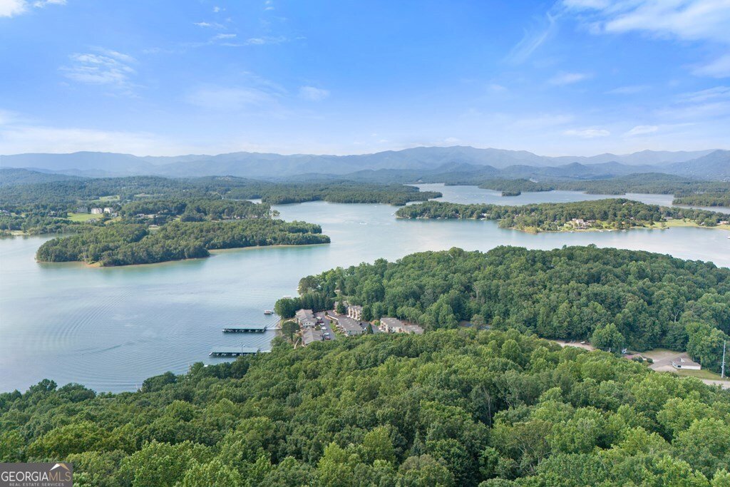 1077 Frog Pond Road Hiawassee - 11
