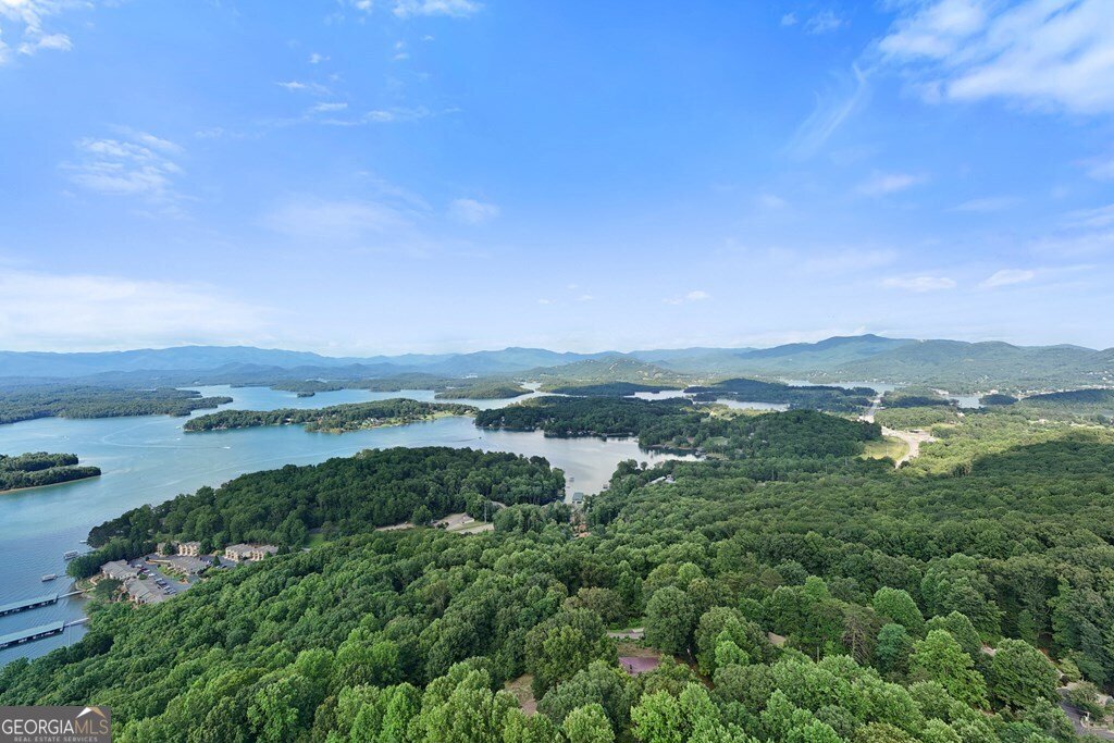 1077 Frog Pond Road Hiawassee - 6