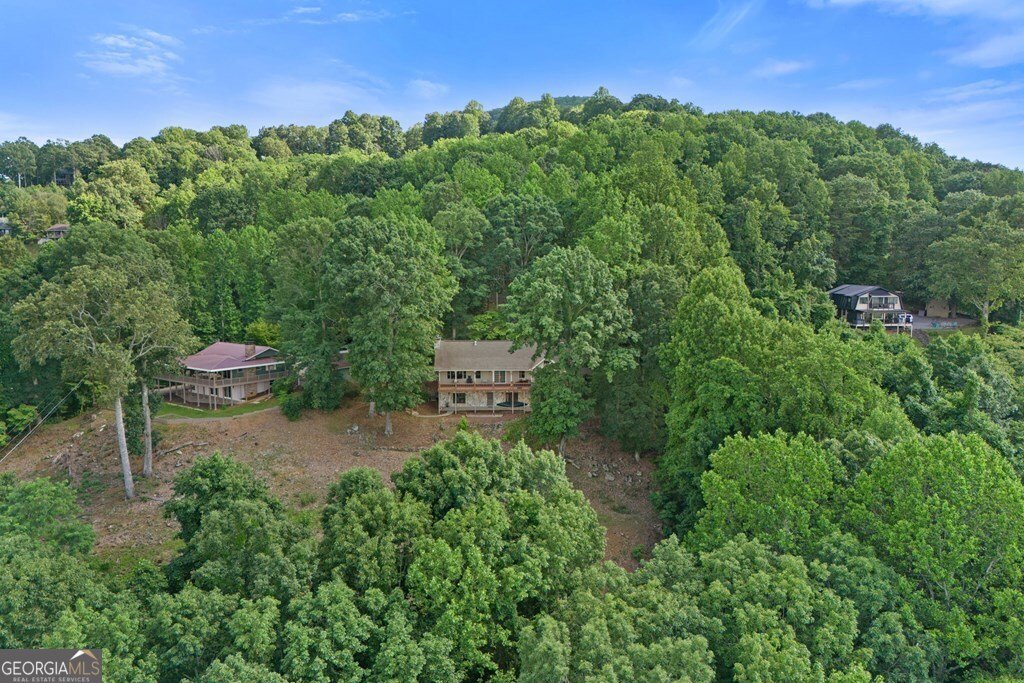 1077 Frog Pond Road Hiawassee - 9