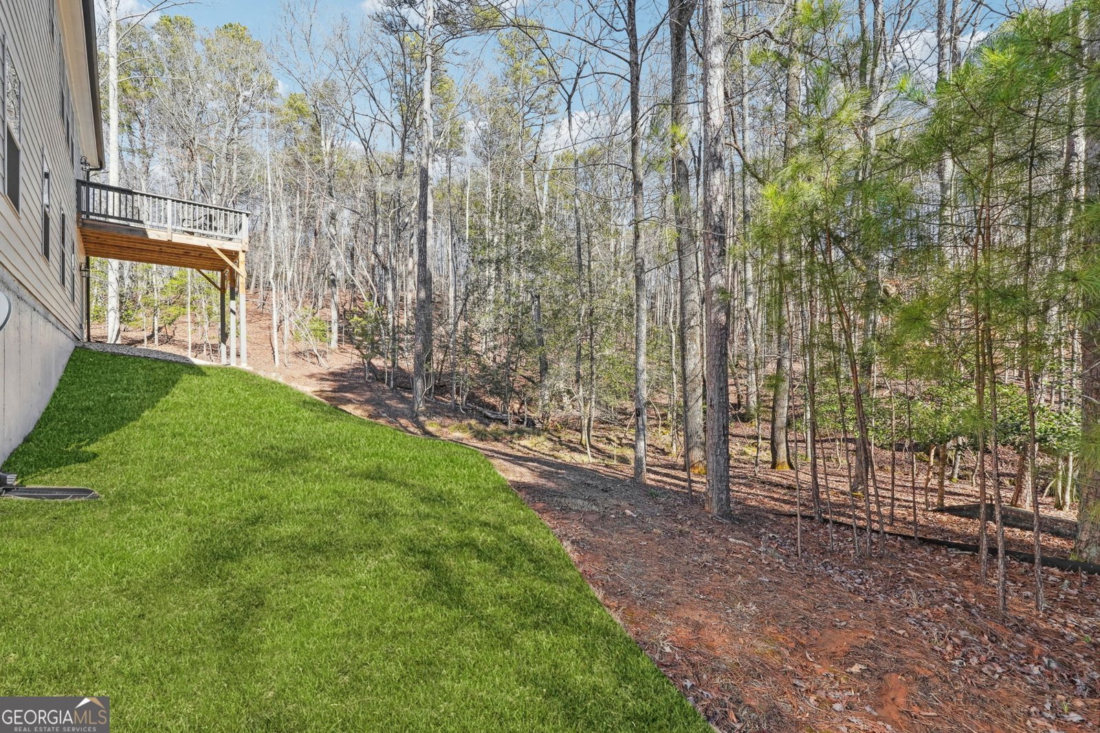 775 Crooked Creek Drive Dahlonega - 12