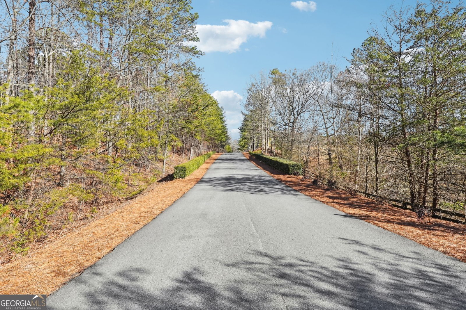 775 Crooked Creek Drive Dahlonega - 19