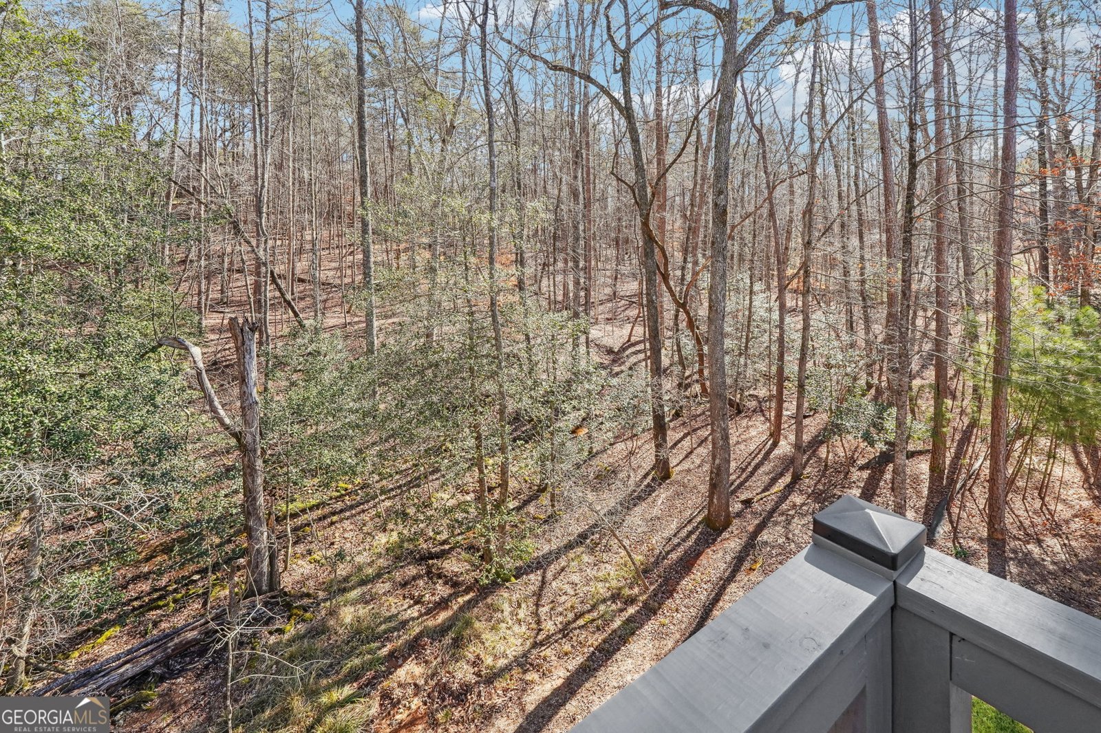 775 Crooked Creek Drive Dahlonega - 29