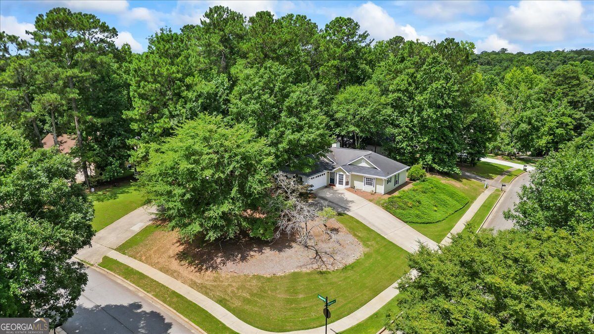 539 Horseshoe Circle Stockbridge - 12