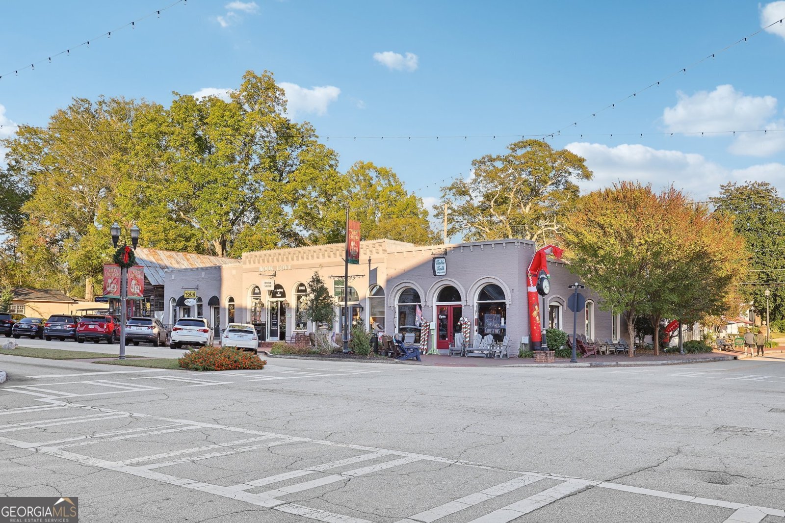 365 Seavy Street Senoia - 11
