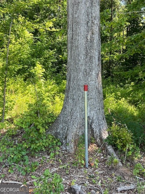 4348 Marshall Stewart Road Crawfordville - Photo 78