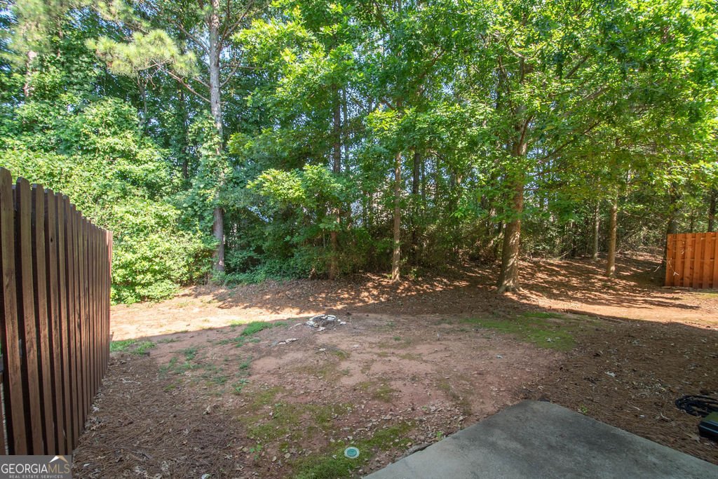 75 Tahoe Drive Newnan - 25