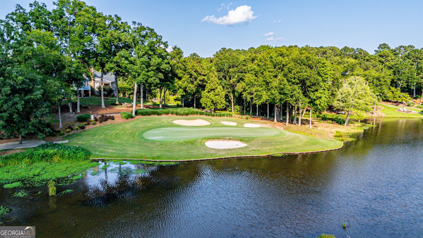 1132 Harbor Ridge Drive Greensboro - 59